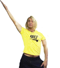 $*$*$BRICE DE NICE$*$*$