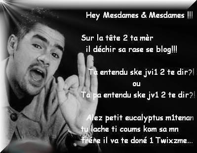 lache tes coms pr ke tu re&ccedil;ois 1 TWIXZME ok? lol!!