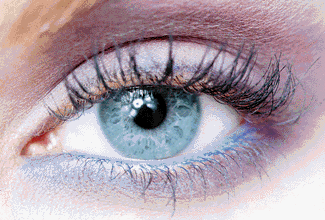 + la ville est belle + la vie est belle